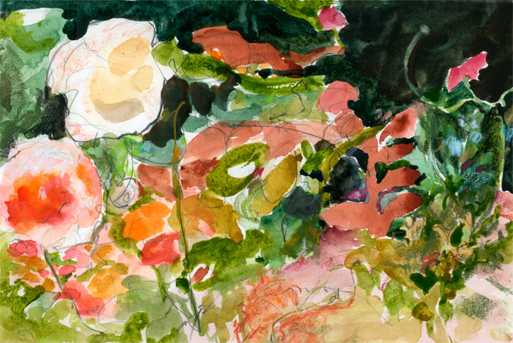 Garden Close Up
