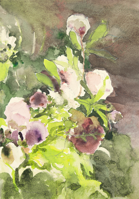 Garden Bloom 2