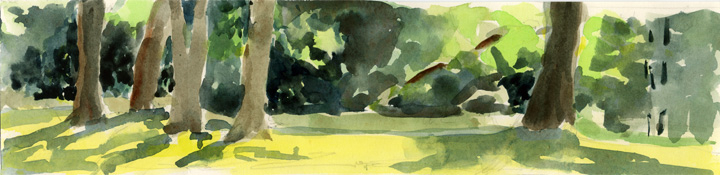 Late Summer