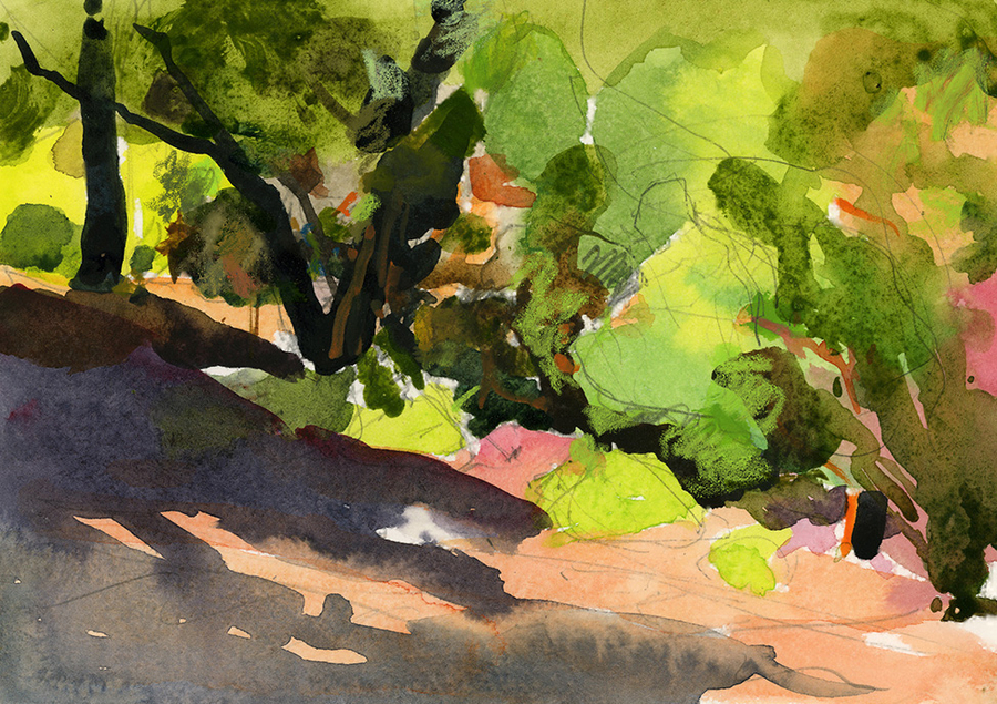 Midday Light