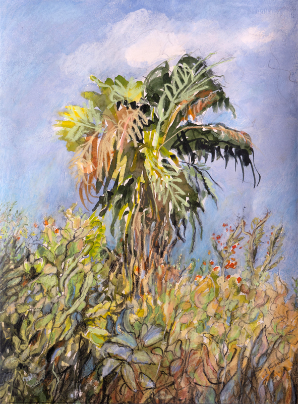 Palm Tree