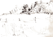 Side of the Road
