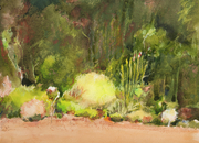 Summer Flora
