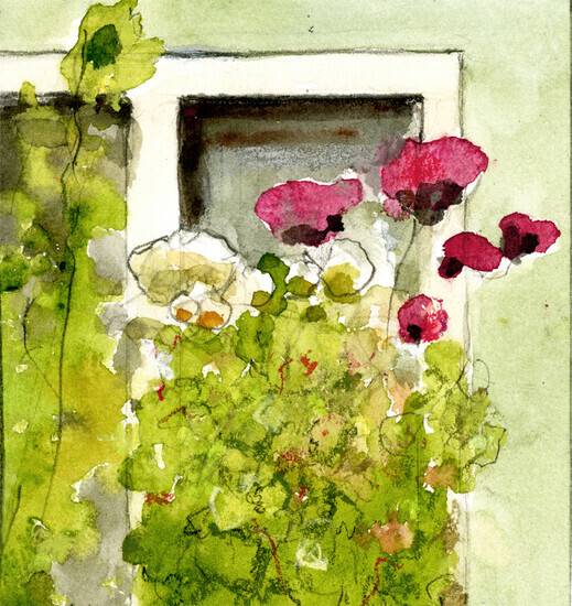 Window & Flowers