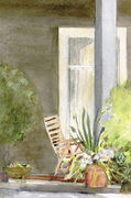 Window with Plant